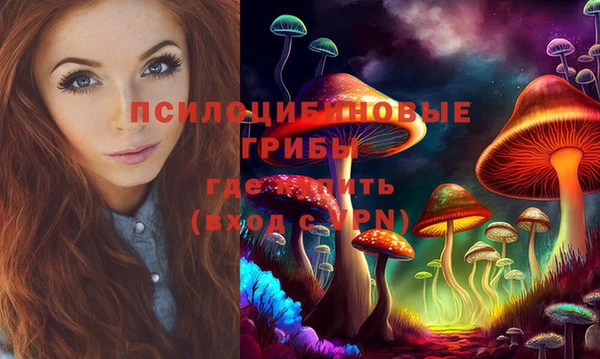 мдпв Армянск