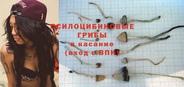 мдпв Армянск