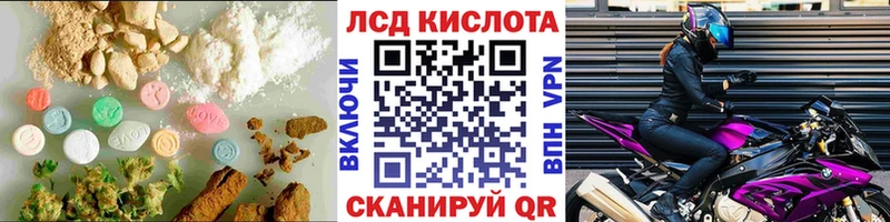 ЛСД экстази ecstasy  Новозыбков 