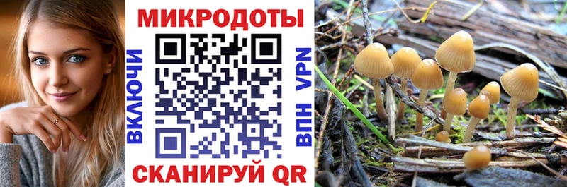 mega tor  Новозыбков  Галлюциногенные грибы мухоморы 